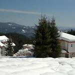 Forest Glade-апартаменти и за гости Pamporovo