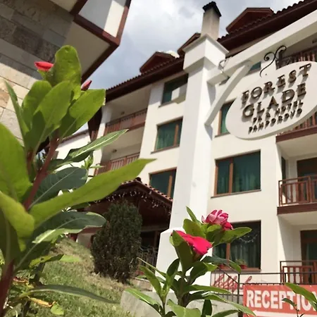 Forest Glade-апартаменти и за гости 3* Pamporovo