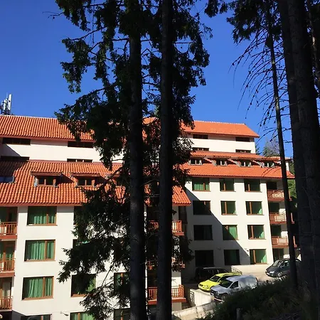 Forest Glade-апартаменти и за гости Apart-hotel Pamporovo