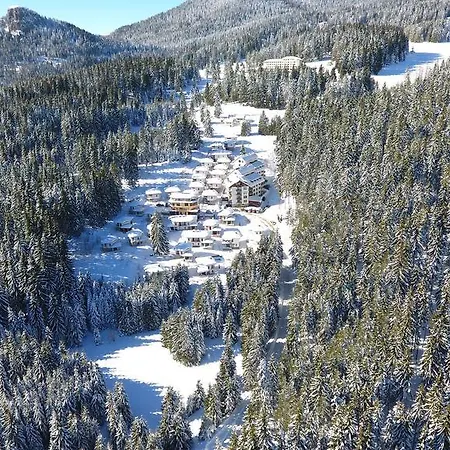 Forest Glade-апартаменти и за гости Aparthotel Pamporovo