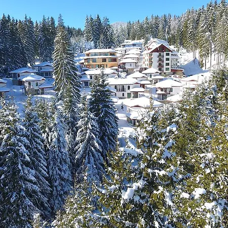 Forest Glade-апартаменти и за гости 3* 팜포로보