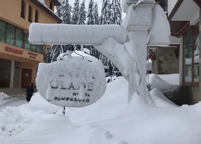 Aparthotel Forest Glade-апартаменти и за гости Pamporovo