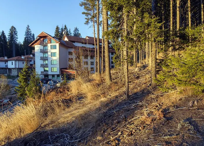 Forest Glade-апартаменти и за гости 3*