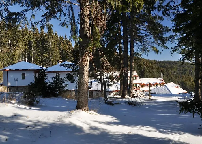 Forest Glade-апартаменти и за гости 3* Pamporovo