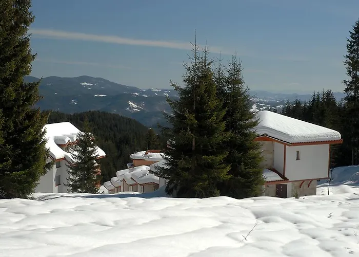 Forest Glade-апартаменти и за гости Pamporovo