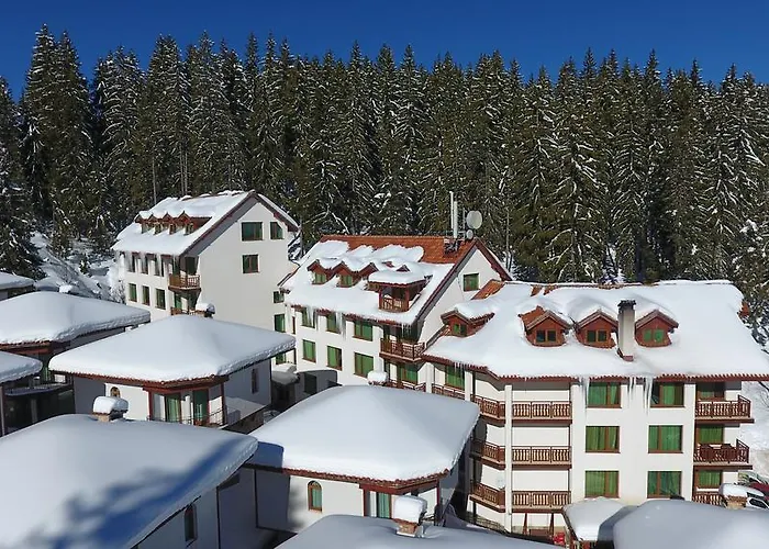 Forest Glade-апартаменти и за гости Aparthotel